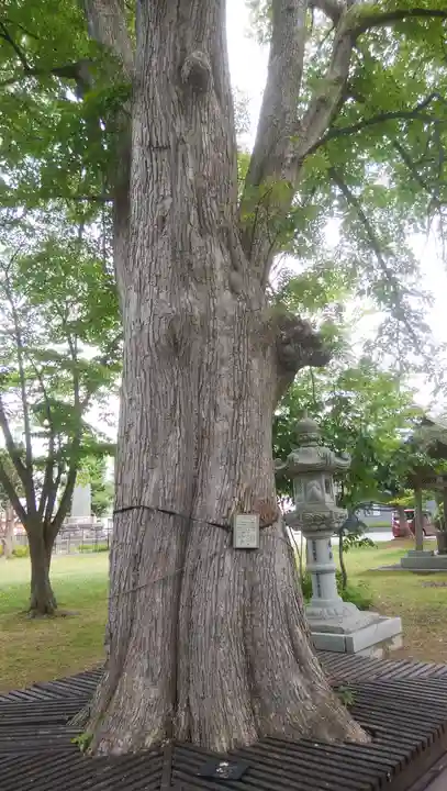 当別神社の自然