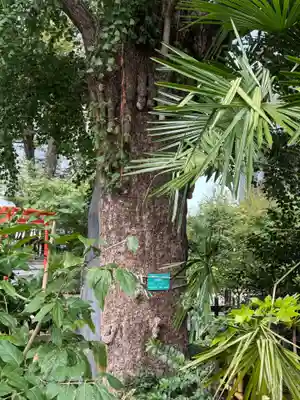 成子天神社(東京都)