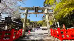 出雲大神宮(京都府)