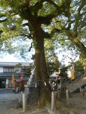 加納天満宮(岐阜県)