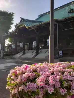 妙法寺(東京都)