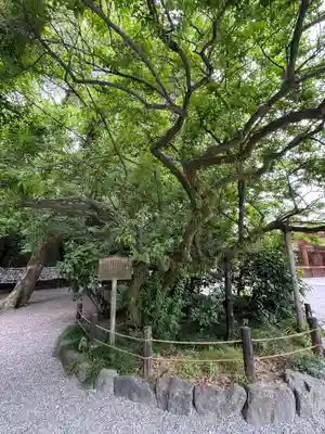 熱田神宮(愛知県)