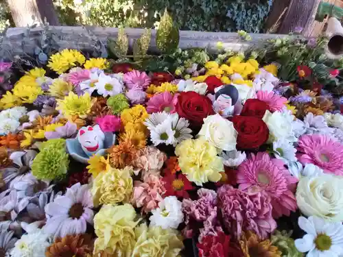 於菊稲荷神社の手水舎