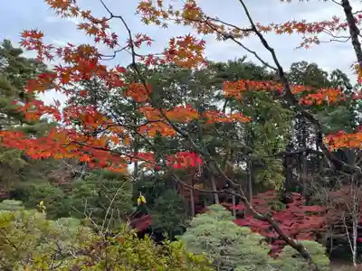 輪王寺(宮城県)