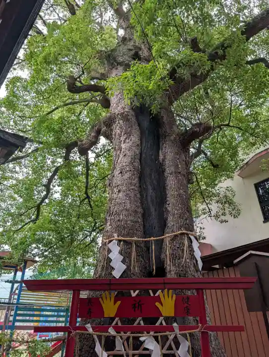 五方山熊野神社(東京都)