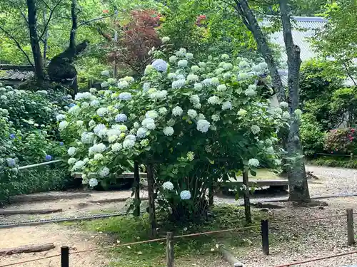 念佛院(奈良県)