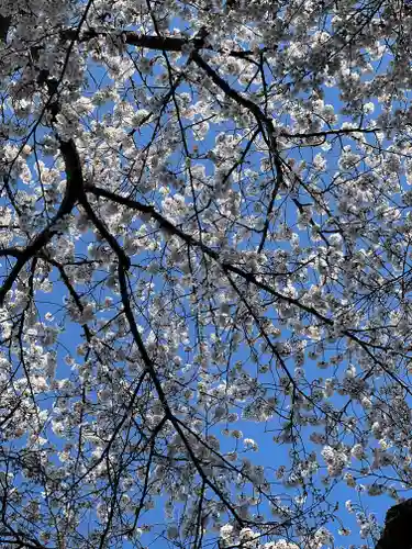 弘前八坂神社(青森県)