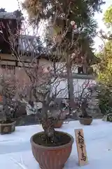 菅原天満宮（菅原神社）の建物その他