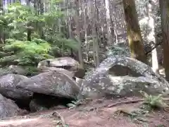 名草厳島神社の自然