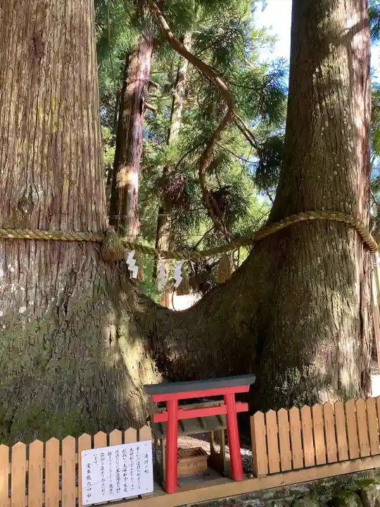 室生龍穴神社(奈良県)