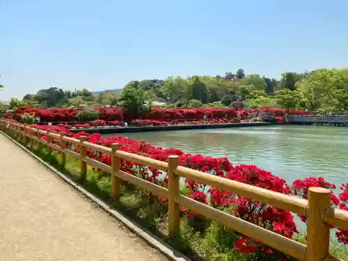 長岡天満宮の庭園