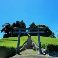 天王神社の鳥居