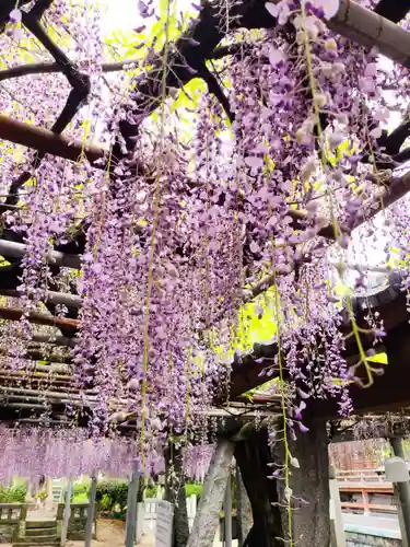 天満神社の庭園