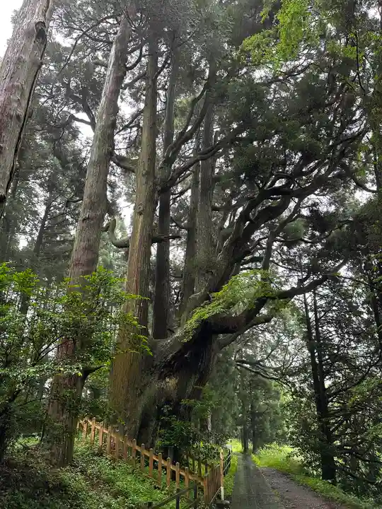 幣立神宮(熊本県)