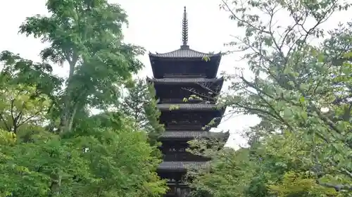 仁和寺の塔