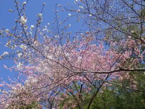 鶴岡八幡宮の自然