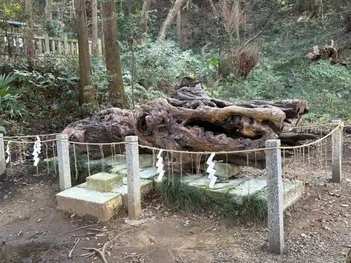 泉神社(茨城県)
