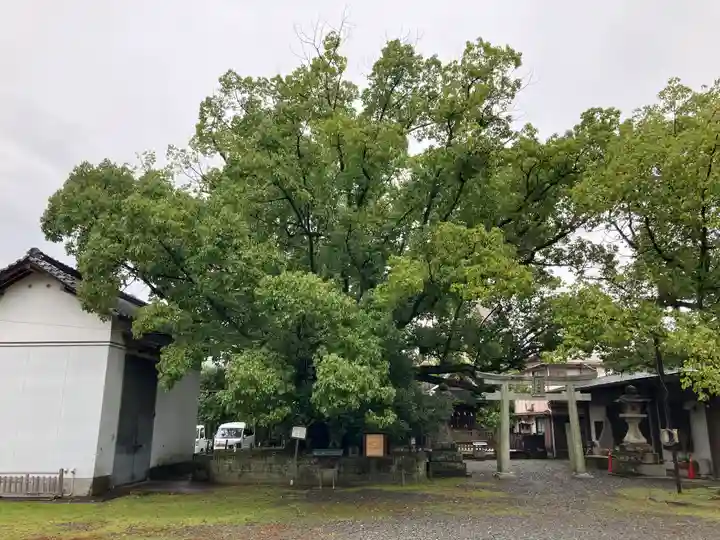 闘鶏神社(和歌山県)
