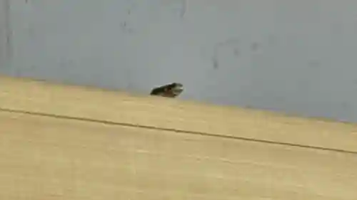 福地山 長現寺(山形県)