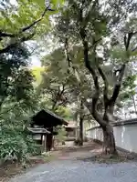 錦春稲荷大明神(東京都)