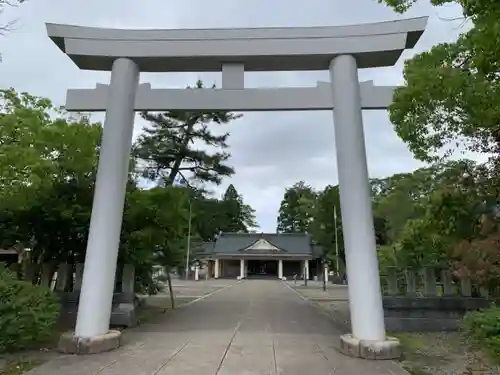 福井県護国神社の鳥居