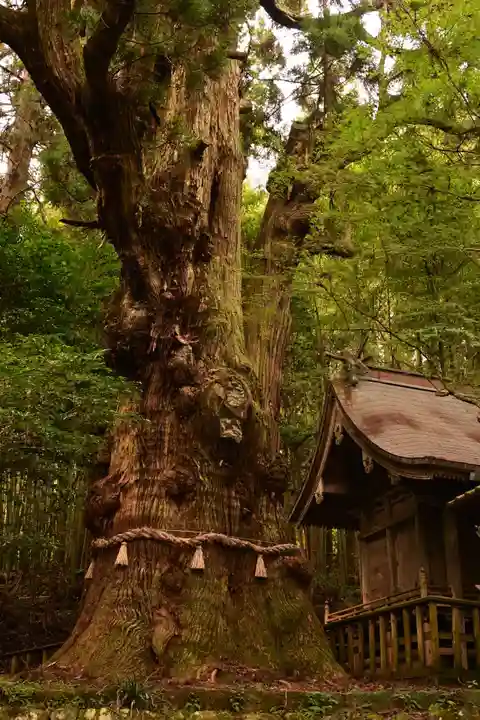 大杵社(大分県)