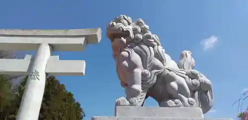 浅間神社の狛犬