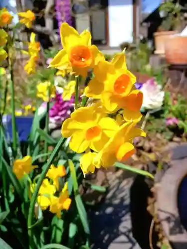 智光院(東京都)