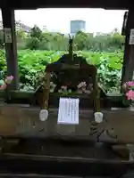 寛永寺不忍池弁天堂の手水舎