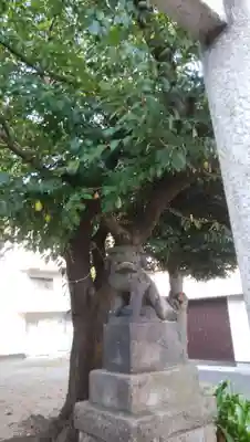 高石神社の狛犬