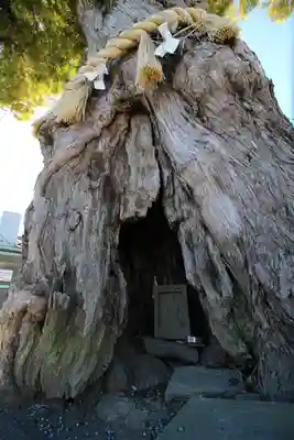 前玉神社(埼玉県)