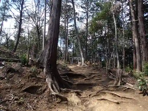 高麗神社の自然
