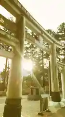 三峯神社(埼玉県)