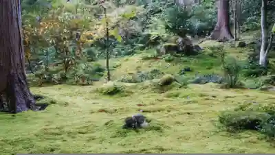 三千院門跡の地蔵