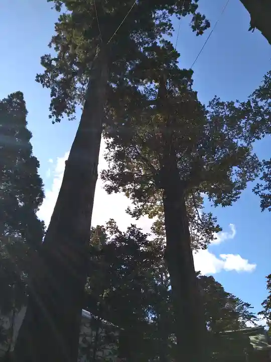 鹿島神宮の自然