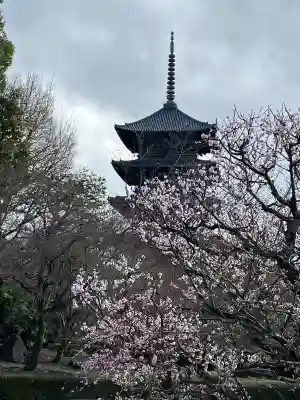 東寺（教王護国寺）の{uncategorized: "未分類", other: "その他", undefined: "問題あり", building: "その他建物", grave: "お墓", sacred_gate: "鳥居", guardian: "狛犬", statue: "像", buddha: "仏像", history: "歴史", nature: "自然", garden: "庭園", animal: "動物", pagoda: "塔", temizu: "手水舎", mountain_gate: "山門・神門", sanctuary: "本殿・本堂", subordinate: "末社・摂社", art: "芸術", scenery: "景色", jizo: "地蔵", ema: "絵馬", goshuin: "御朱印", omikuji: "おみくじ", items: "授与品その他", amulet: "お守り", goshuincho: "御朱印帳", eats: "食事", festival: "お祭り", votive_dance: "神楽", shichigosan: "七五三参", wedding: "結婚式", experience: "体験その他", initially: "初詣", around: "周辺", anti_infection: "感染症対策"}