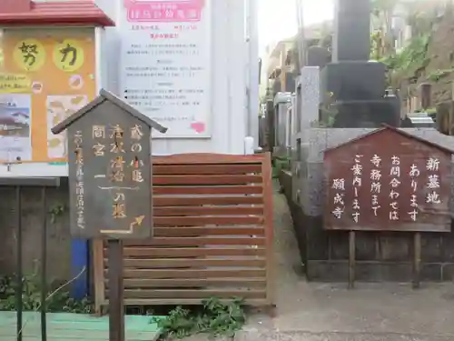 願成寺(神奈川県)