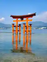 厳島神社(広島県)