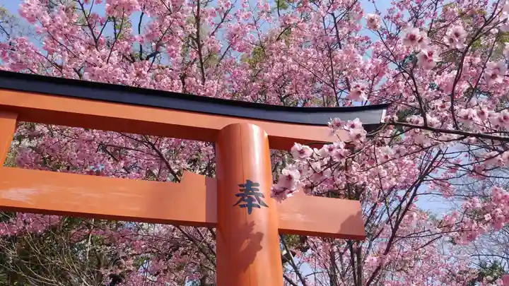 平野神社の自然
