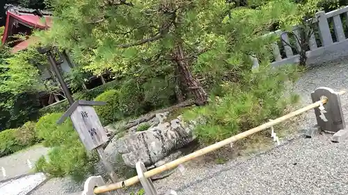 出雲大神宮(京都府)