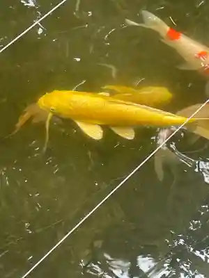 八剱八幡神社(千葉県)