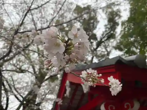 美奈宜神社(福岡県)