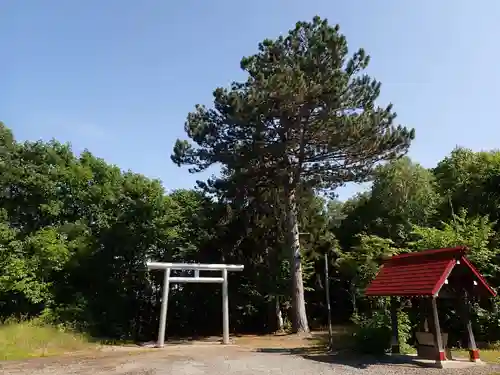 北野神社の鳥居