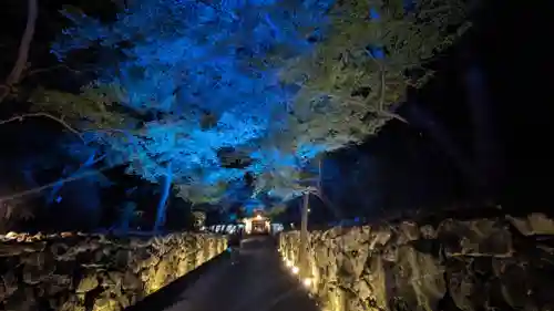 興聖寺（興聖寶林禅寺）のお祭り