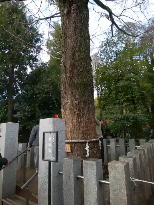 田無神社(東京都)