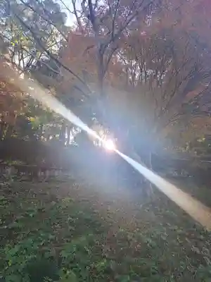 日向大神宮(京都府)