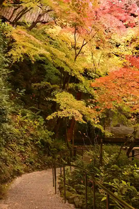 禅林寺(永観堂)(京都府)