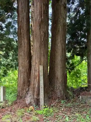 伊夜彦神社(福島県)