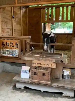 平塚八幡宮(神奈川県)