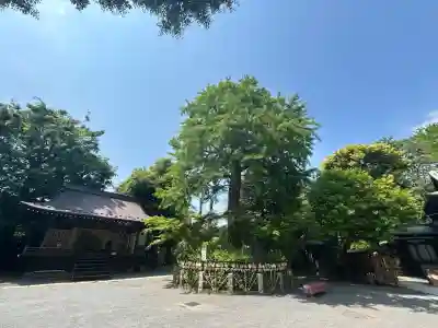 七社神社(東京都)